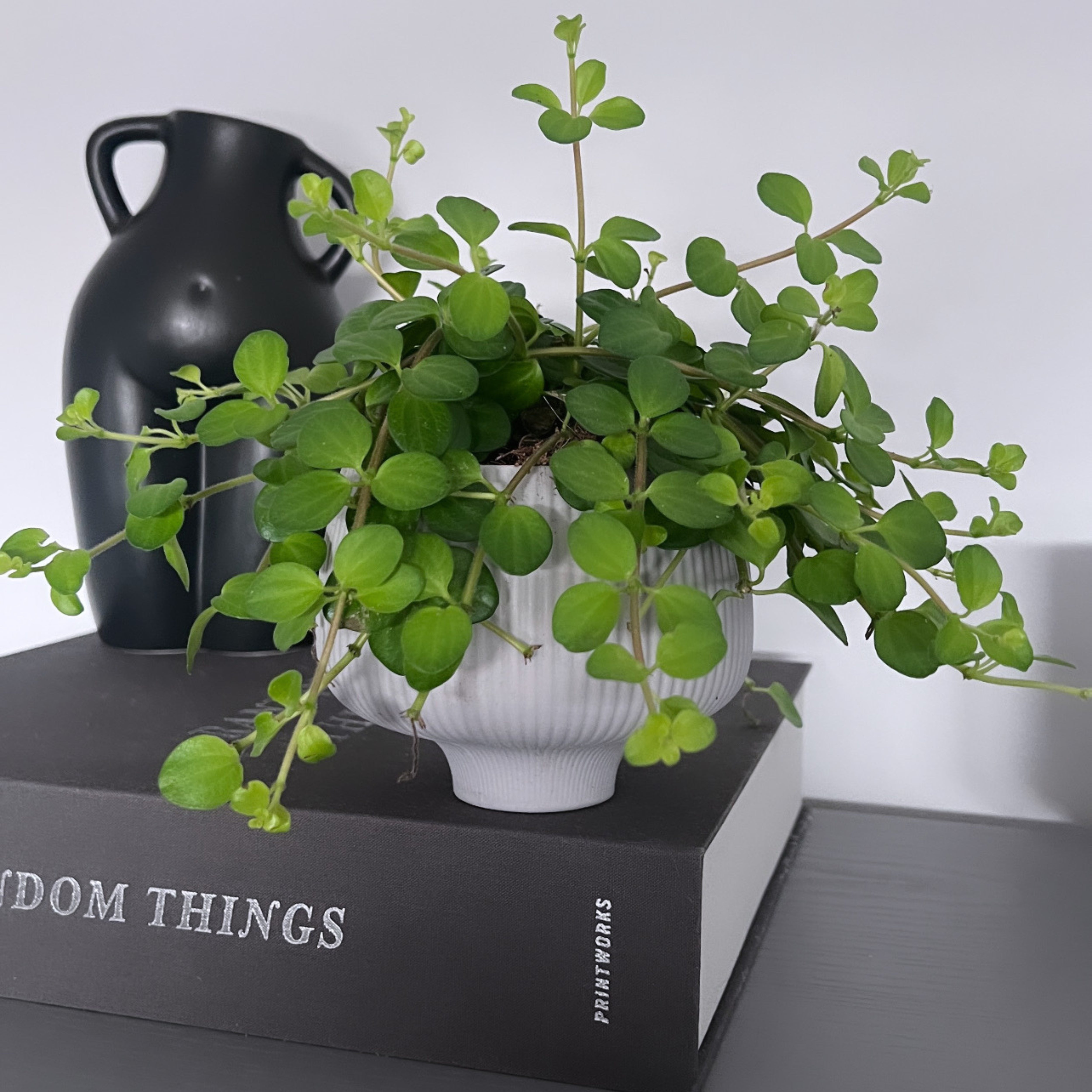 Keramik Blumentopf Bloom in Grau - H 10cm