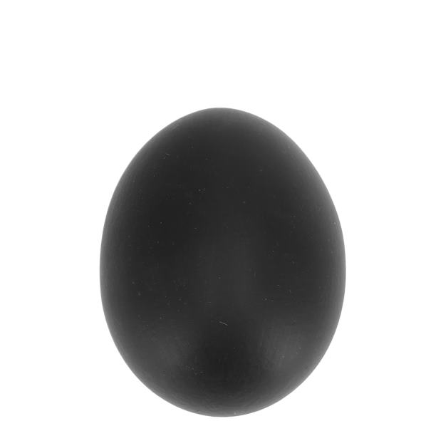 12 er Set Dekoeier natur "Matt" schwarz